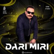 دانلود آهنگ جدید نیاک داری میری